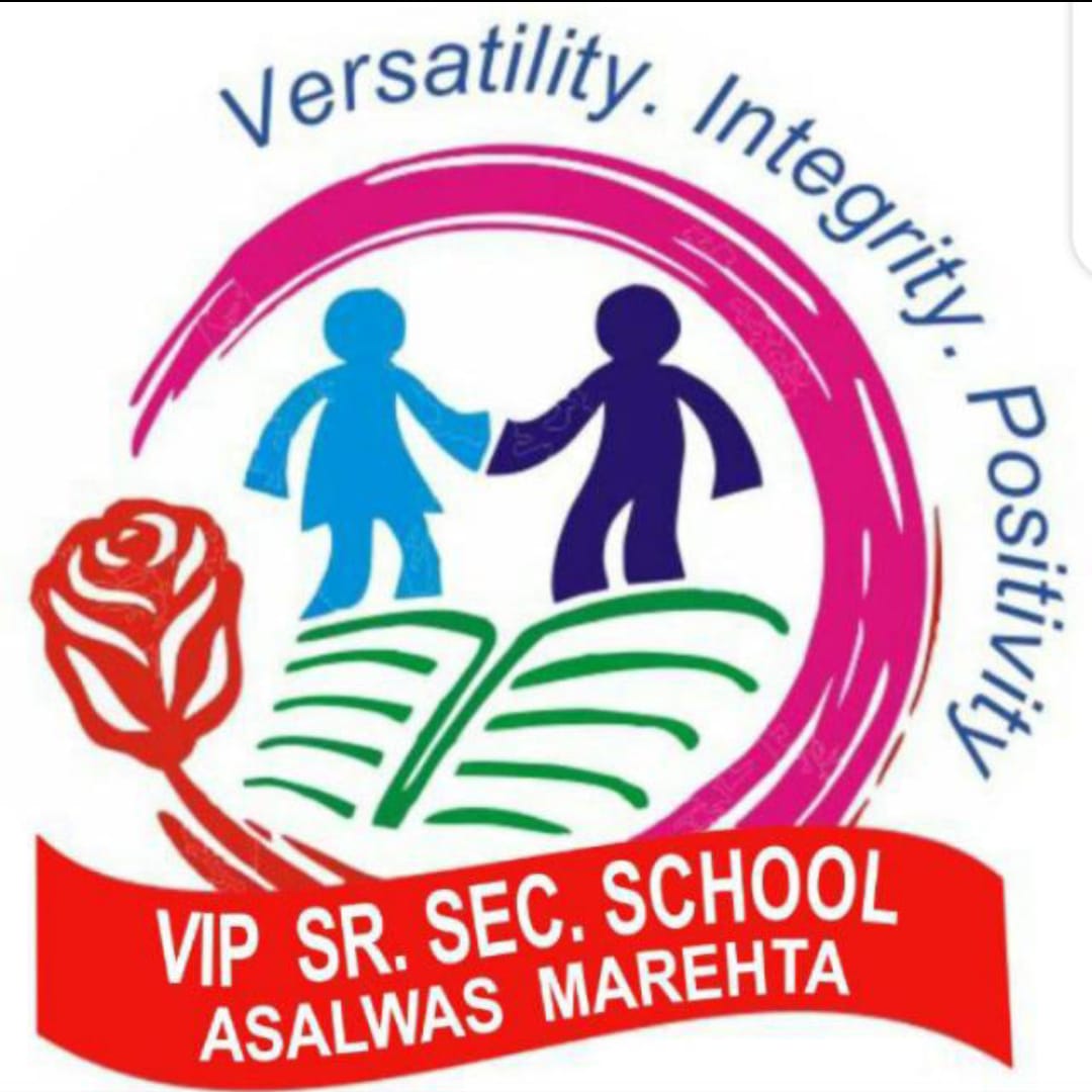 VIP SCHOOL Logo